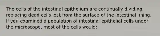 The cells of the intestinal epithelium are continually dividing, replacing dead cells lost from the surface of the intestinal lining. If you examined a population of intestinal epithelial cells under the microscope, most of the cells would: