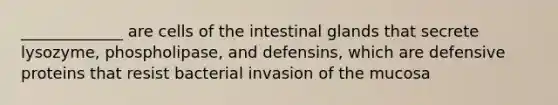 _____________ are cells of the intestinal glands that secrete lysozyme, phospholipase, and defensins, which are defensive proteins that resist bacterial invasion of the mucosa