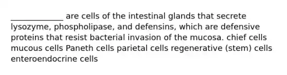 _____________ are cells of the intestinal glands that secrete lysozyme, phospholipase, and defensins, which are defensive proteins that resist bacterial invasion of the mucosa. chief cells mucous cells Paneth cells parietal cells regenerative (stem) cells enteroendocrine cells