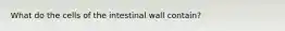 What do the cells of the intestinal wall contain?