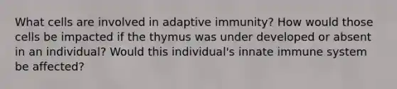 What cells are involved in adaptive immunity? How would those cells be impacted if the thymus was under developed or absent in an individual? Would this individual's innate immune system be affected?