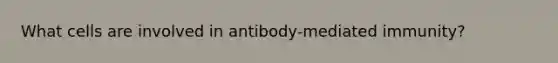 What cells are involved in antibody-mediated immunity?