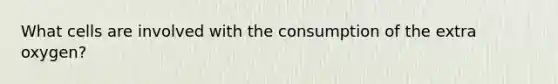 What cells are involved with the consumption of the extra oxygen?