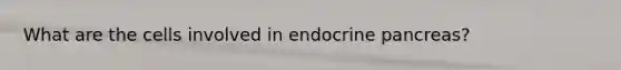 What are the cells involved in endocrine pancreas?