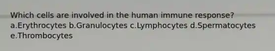 Which cells are involved in the human immune response? a.Erythrocytes b.Granulocytes c.Lymphocytes d.Spermatocytes e.Thrombocytes