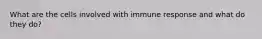 What are the cells involved with immune response and what do they do?