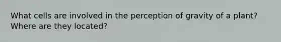 What cells are involved in the perception of gravity of a plant? Where are they located?