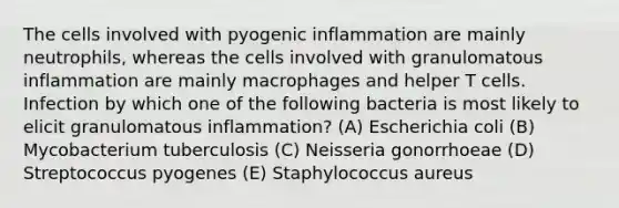 The cells involved with pyogenic inflammation are mainly neutrophils, whereas the cells involved with granulomatous inflammation are mainly macrophages and helper T cells. Infection by which one of the following bacteria is most likely to elicit granulomatous inflammation? (A) Escherichia coli (B) Mycobacterium tuberculosis (C) Neisseria gonorrhoeae (D) Streptococcus pyogenes (E) Staphylococcus aureus