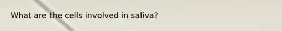 What are the cells involved in saliva?