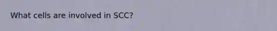 What cells are involved in SCC?