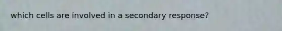 which cells are involved in a secondary response?