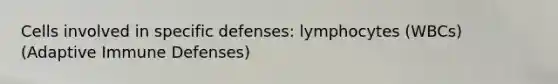 Cells involved in specific defenses: lymphocytes (WBCs) (Adaptive Immune Defenses)