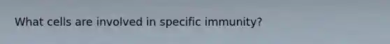 What cells are involved in specific immunity?