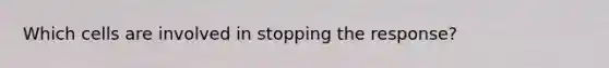 Which cells are involved in stopping the response?