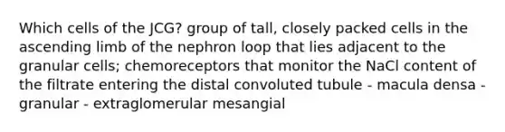 Which cells of the JCG? group of tall, closely packed cells in the ascending limb of the nephron loop that lies adjacent to the granular cells; chemoreceptors that monitor the NaCl content of the filtrate entering the distal convoluted tubule - macula densa - granular - extraglomerular mesangial