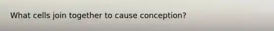 What cells join together to cause conception?