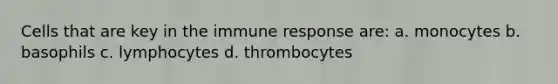 Cells that are key in the immune response are: a. monocytes b. basophils c. lymphocytes d. thrombocytes