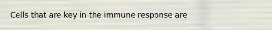 Cells that are key in the immune response are
