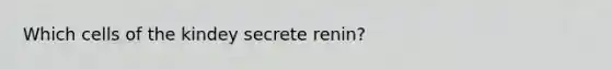 Which cells of the kindey secrete renin?