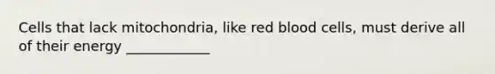 Cells that lack mitochondria, like red blood cells, must derive all of their energy ____________