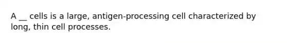 A __ cells is a large, antigen-processing cell characterized by long, thin cell processes.