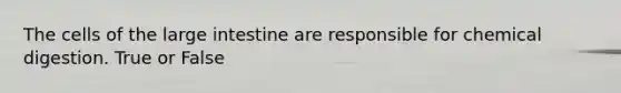 The cells of the large intestine are responsible for chemical digestion. True or False