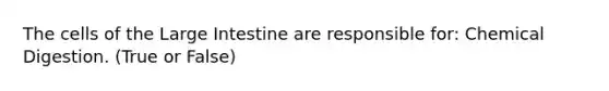 The cells of the Large Intestine are responsible for: Chemical Digestion. (True or False)