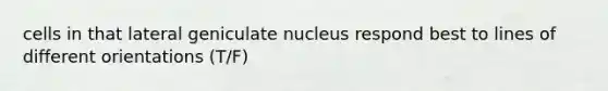 cells in that lateral geniculate nucleus respond best to lines of different orientations (T/F)