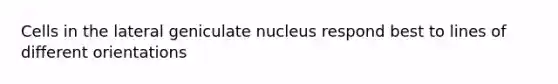 Cells in the lateral geniculate nucleus respond best to lines of different orientations