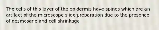 The cells of this layer of the epidermis have spines which are an artifact of the microscope slide preparation due to the presence of desmosane and cell shrinkage