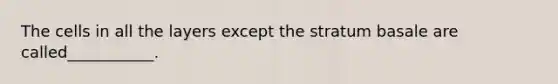 The cells in all the layers except the stratum basale are called___________.