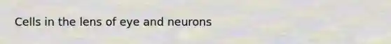 Cells in the lens of eye and neurons