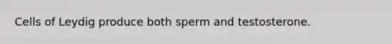 Cells of Leydig produce both sperm and testosterone.