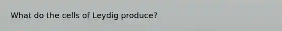 What do the cells of Leydig produce?