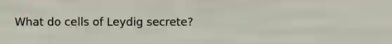 What do cells of Leydig secrete?