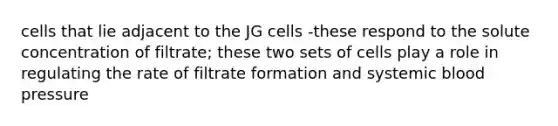 cells that lie adjacent to the JG cells -these respond to the solute concentration of filtrate; these two sets of cells play a role in regulating the rate of filtrate formation and systemic blood pressure