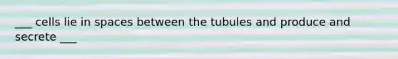 ___ cells lie in spaces between the tubules and produce and secrete ___