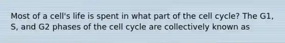 Most of a cell's life is spent in what part of the cell cycle? The G1, S, and G2 phases of the cell cycle are collectively known as