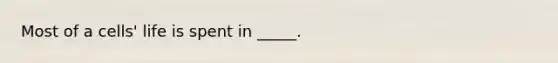 Most of a cells' life is spent in _____.