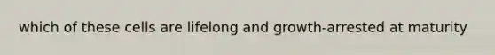 which of these cells are lifelong and growth-arrested at maturity