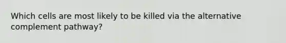 Which cells are most likely to be killed via the alternative complement pathway?
