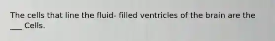 The cells that line the fluid- filled ventricles of the brain are the ___ Cells.