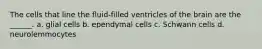 The cells that line the fluid-filled ventricles of the brain are the ______. a. glial cells b. ependymal cells c. Schwann cells d. neurolemmocytes