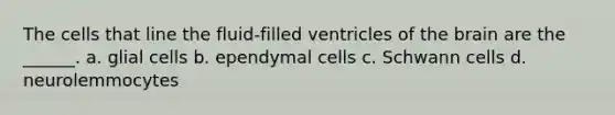 The cells that line the fluid-filled ventricles of the brain are the ______. a. glial cells b. ependymal cells c. Schwann cells d. neurolemmocytes