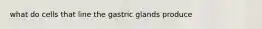 what do cells that line the gastric glands produce