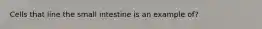 Cells that line the small intestine is an example of?