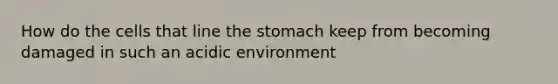 How do the cells that line the stomach keep from becoming damaged in such an acidic environment