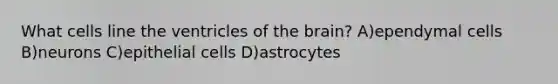 What cells line the ventricles of <a href='https://www.questionai.com/knowledge/kLMtJeqKp6-the-brain' class='anchor-knowledge'>the brain</a>? A)ependymal cells B)neurons C)epithelial cells D)astrocytes