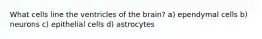 What cells line the ventricles of the brain? a) ependymal cells b) neurons c) epithelial cells d) astrocytes