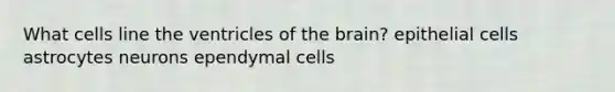 What cells line the ventricles of the brain? epithelial cells astrocytes neurons ependymal cells